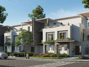img-gallery
